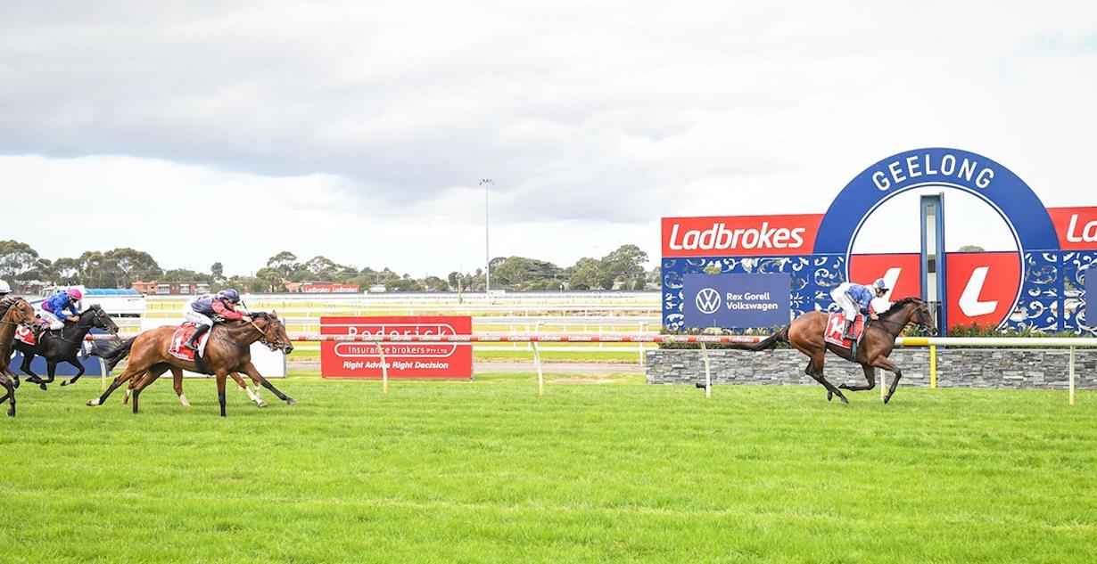 Macha - Geelong 23rd March 2025